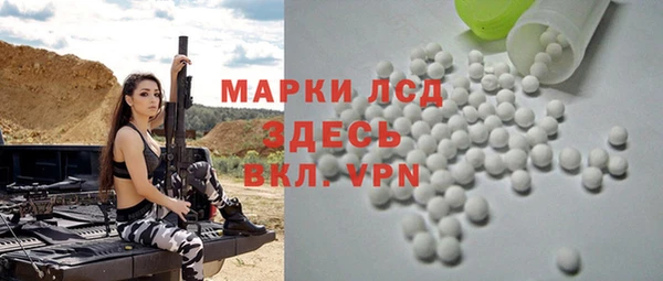 прущий лед Вяземский