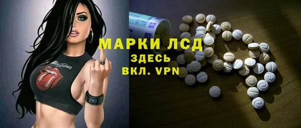 прущий лед Вяземский