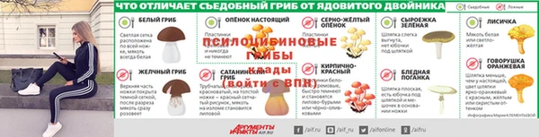 apvp Вязники