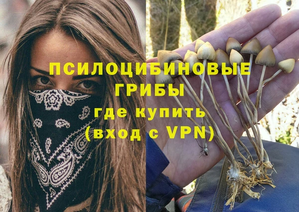 трава Верхний Тагил