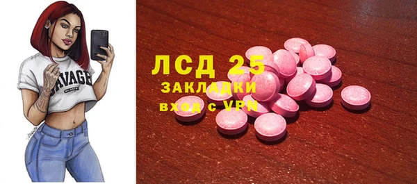 прущий лед Вяземский