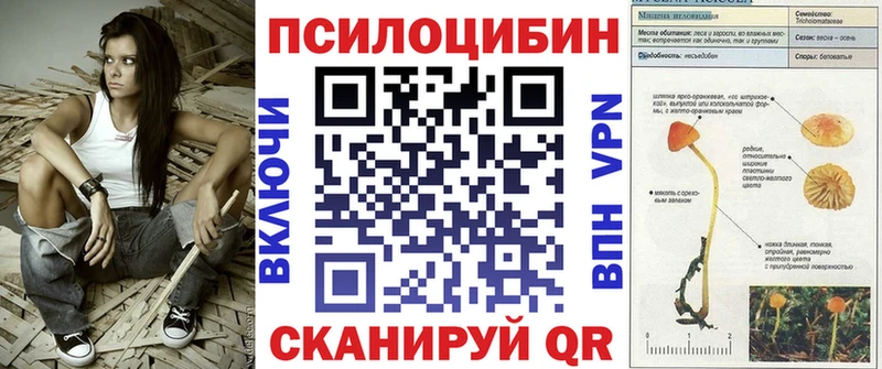 Псилоцибиновые грибы Psilocybine cubensis  darknet Telegram  Енисейск  где найти наркотики 